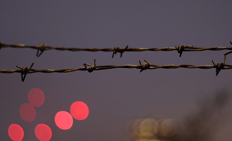 barbed wire
