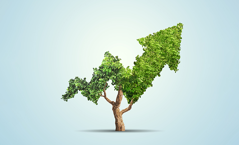 Tree economic growth concept