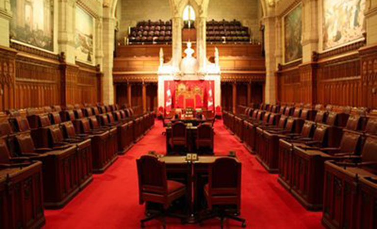 senate