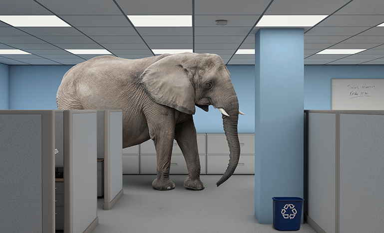 Elephant in the work office
