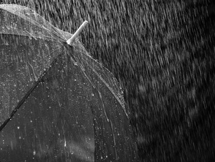 Umbrella in the rain