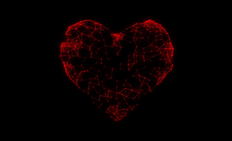 Digital heart